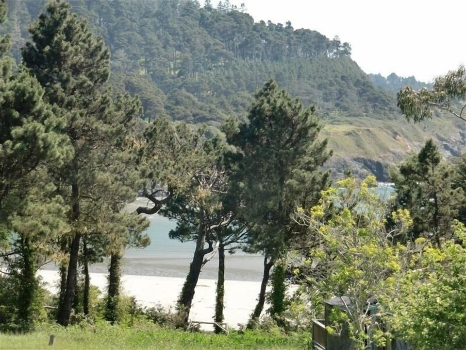 Private Mendocino Secret Path to Beach and view from  
shower!