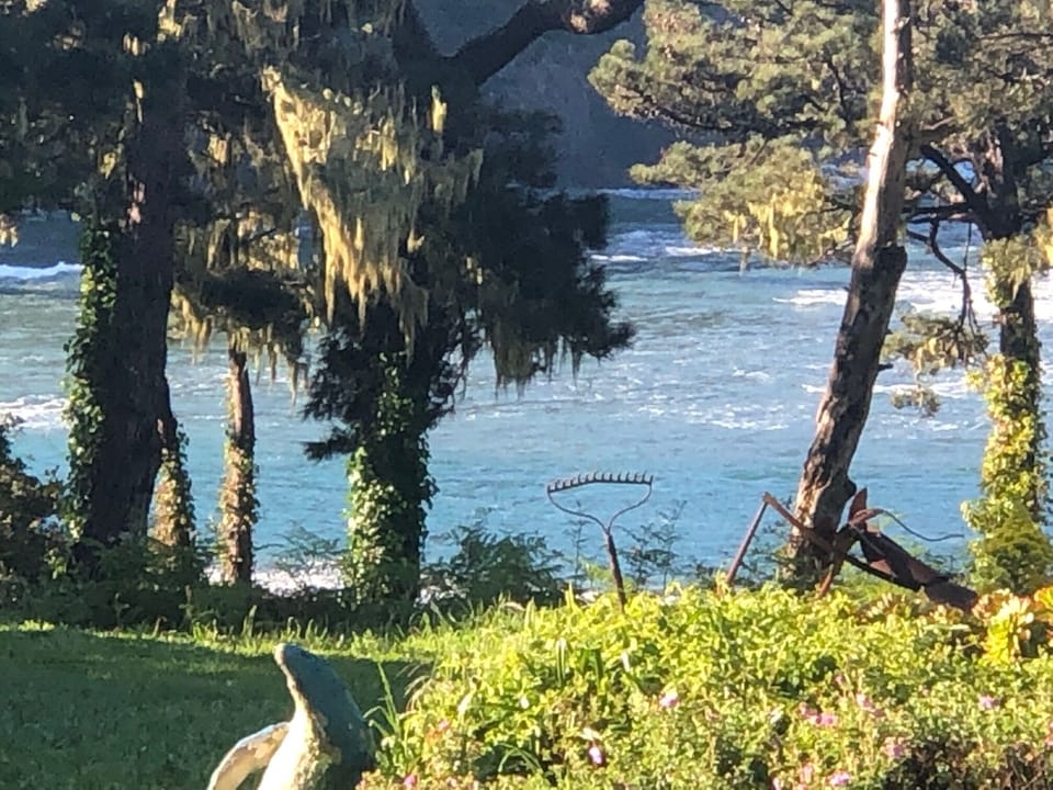 Private Mendocino Secret Path to Beach and view from  
shower!