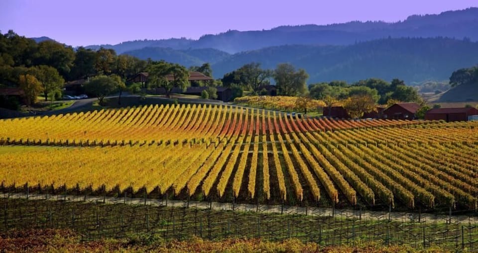 Experience the epitome of wine country living, where every sunrise brings a promise of adventure and every sunset whispers tales of tranquility.