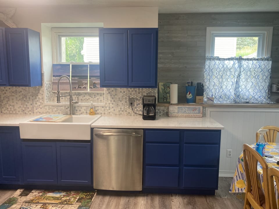 New Farmhouse sink and dishwasher 