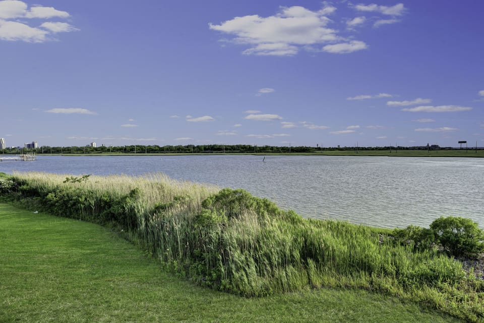 rear greenery area