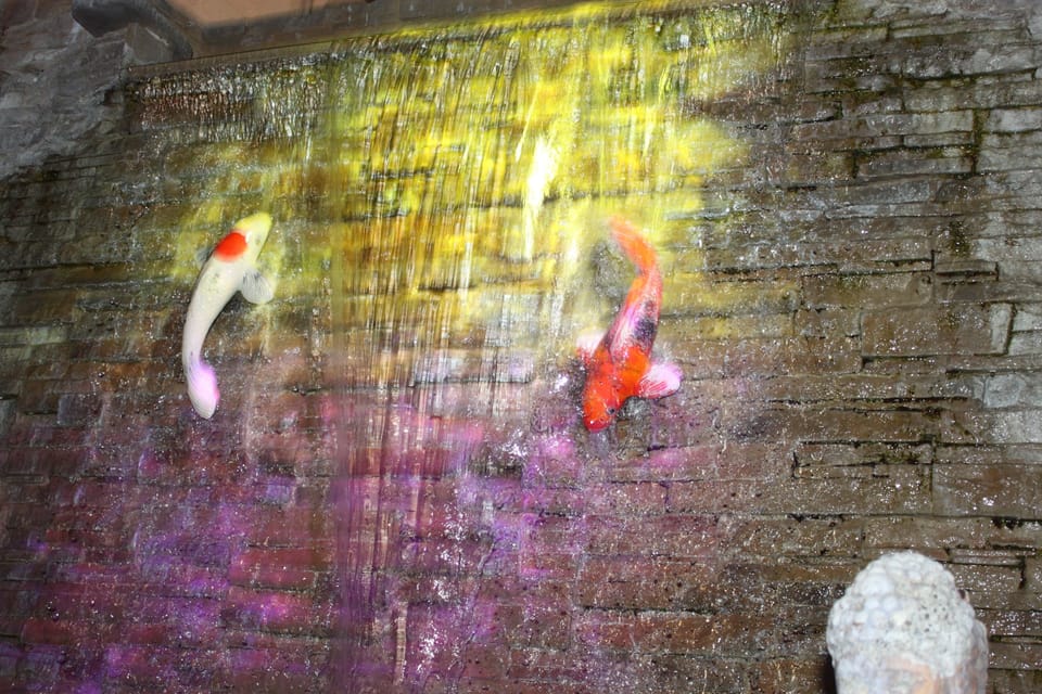 Couples treatment rooms, sauna, hot tub, steam room, hot springs