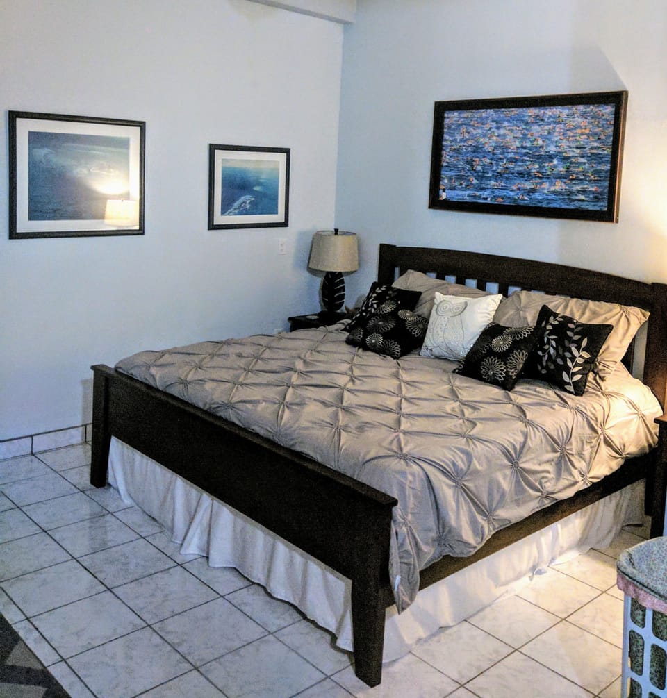 Traditional Studio, 1 King Bed with Sofa bed, Non Smoking, Kitchen | In-room safe, individually furnished, iron/ironing board, free WiFi