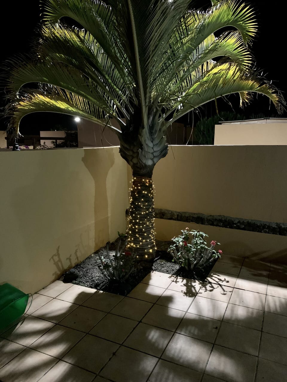 Patio is still enchanting at night. 