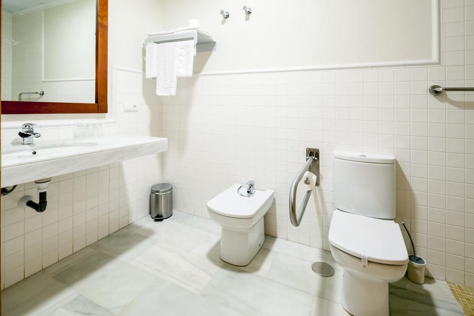 Shower, hair dryer, bidet, towels