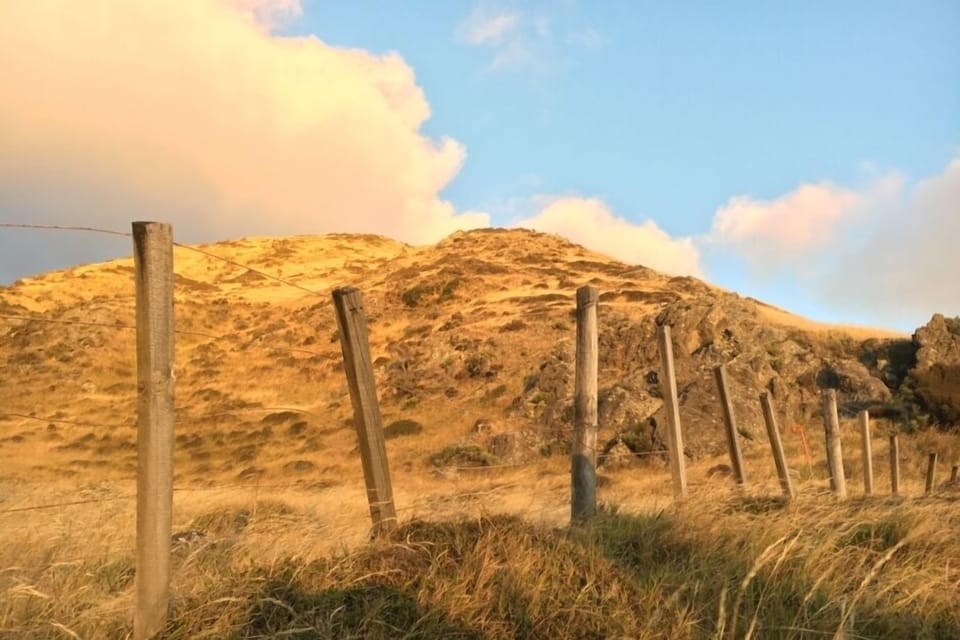 Image of local scenery