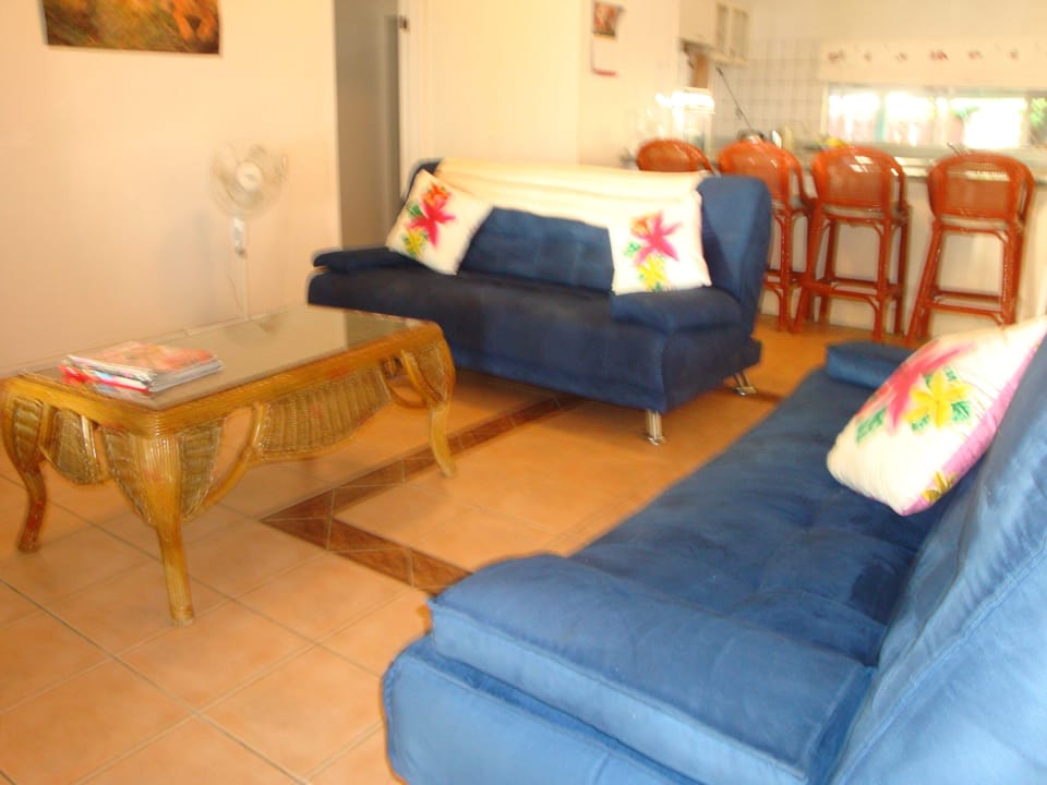 Large Lounge, open plan with kitchen and dining area