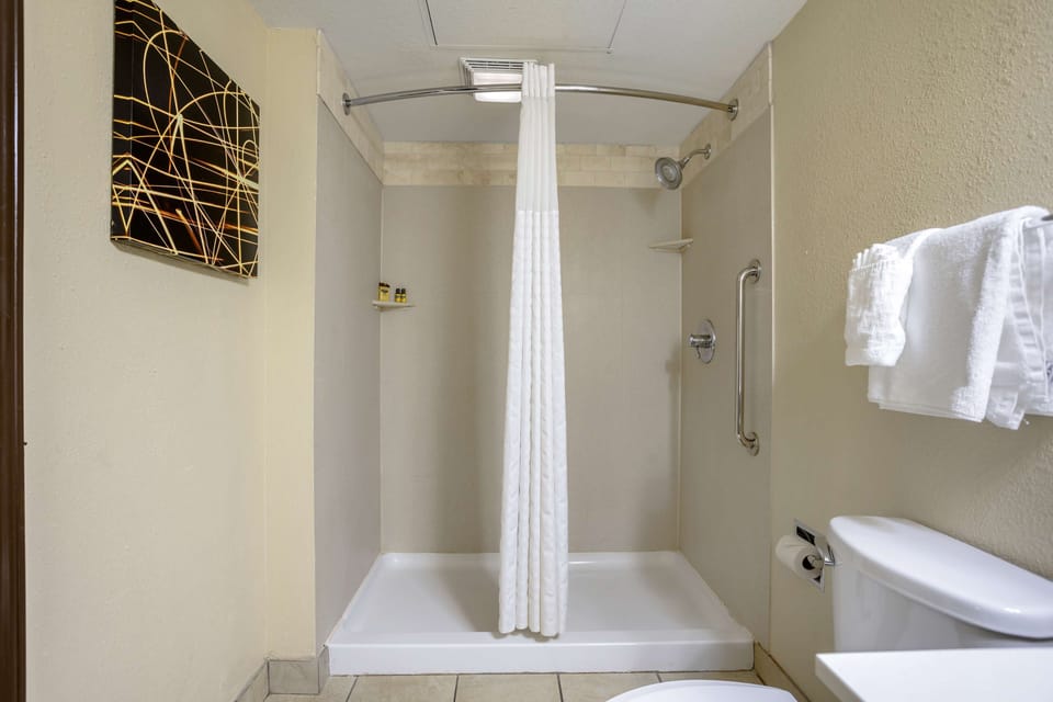 Standard Room, 1 King Bed, Accessible, Non Smoking | Bathroom | Free toiletries, hair dryer, towels, soap
