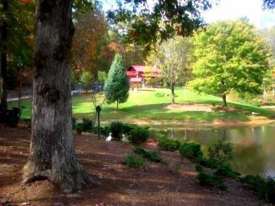 scenic and peaceful