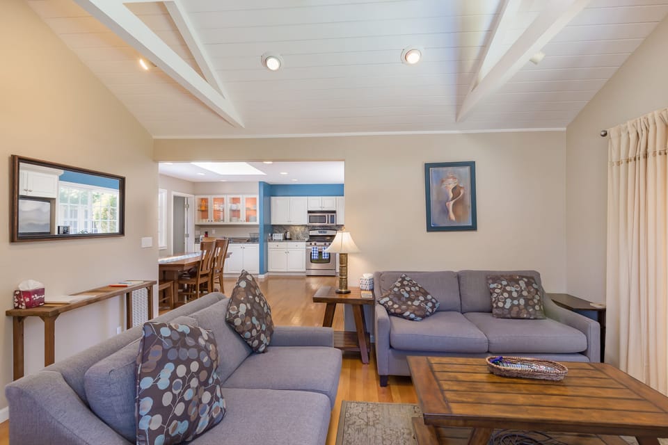 Open plan living room