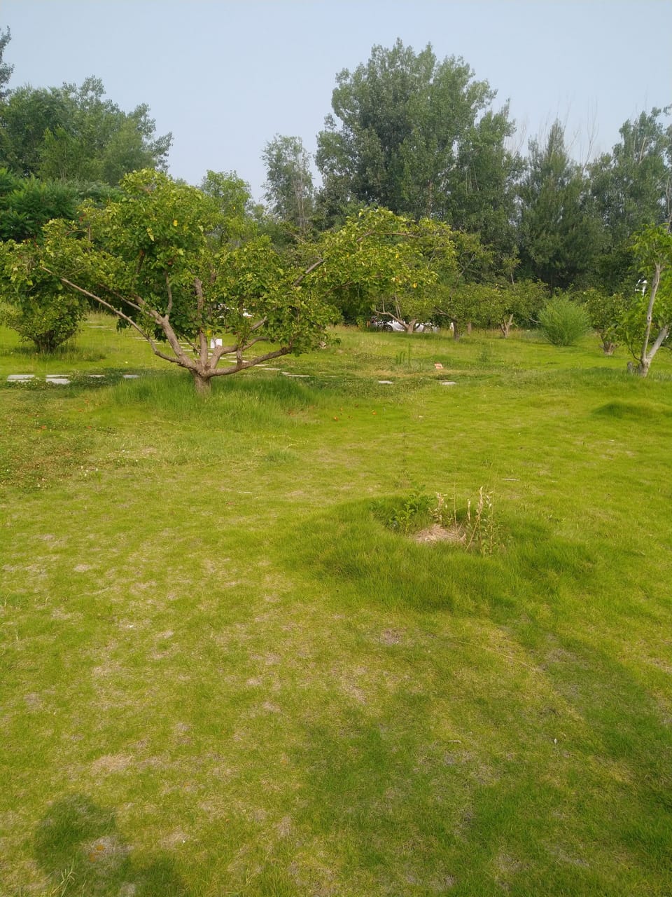 BBQ/picnic area