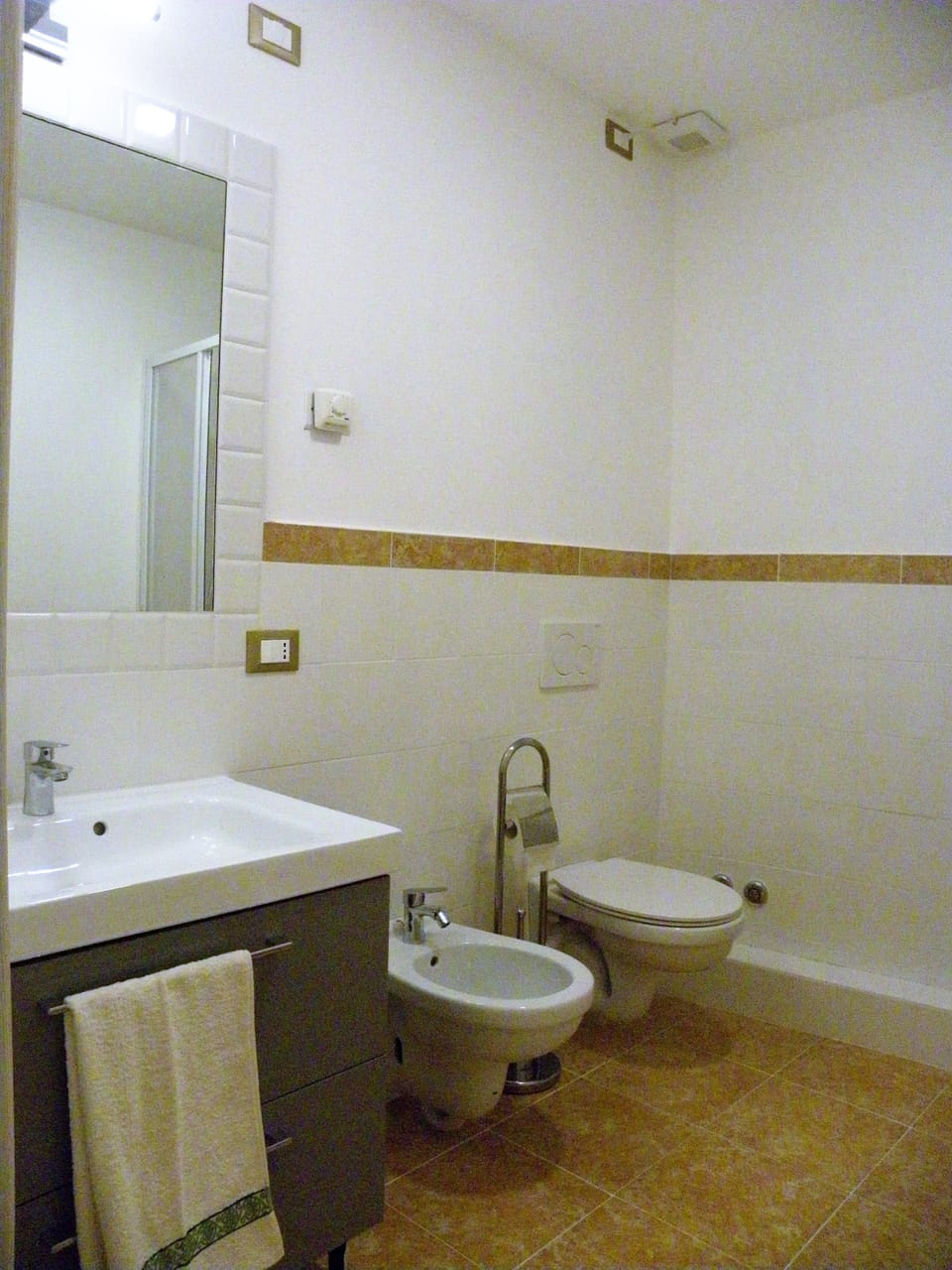 Shower, hair dryer, bidet, towels