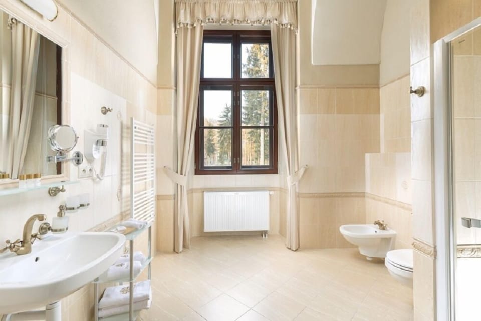 Deluxe Double Room | Bathroom | Free toiletries, hair dryer, bathrobes, slippers