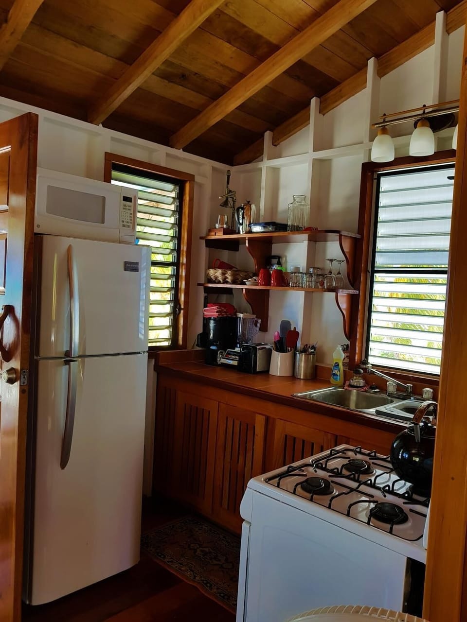 Full-size fridge, microwave, oven, stovetop