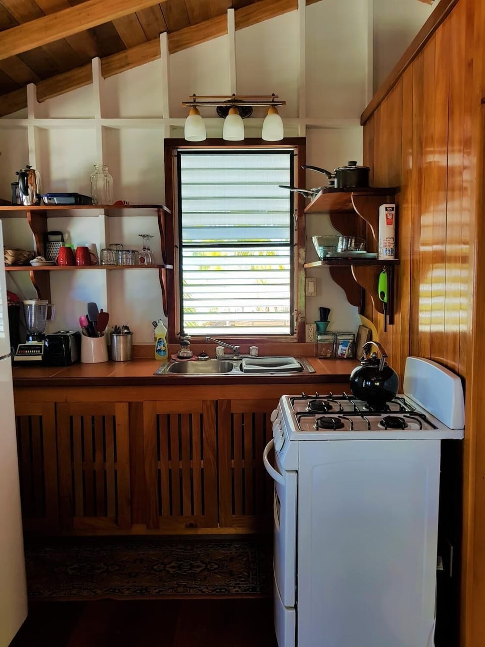 Full-size fridge, microwave, oven, stovetop