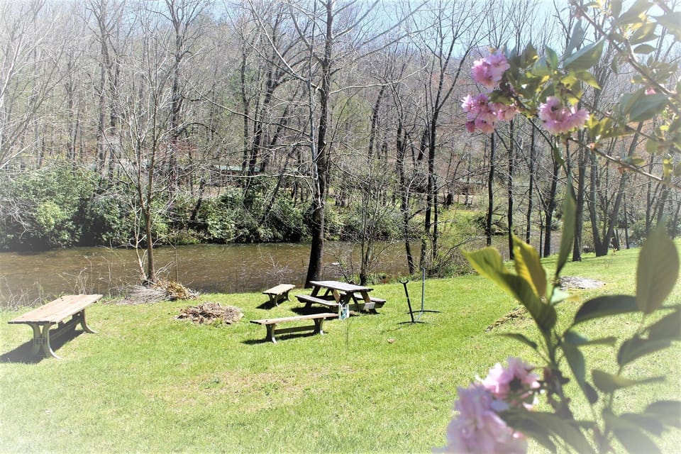 picnic tables and benches by river