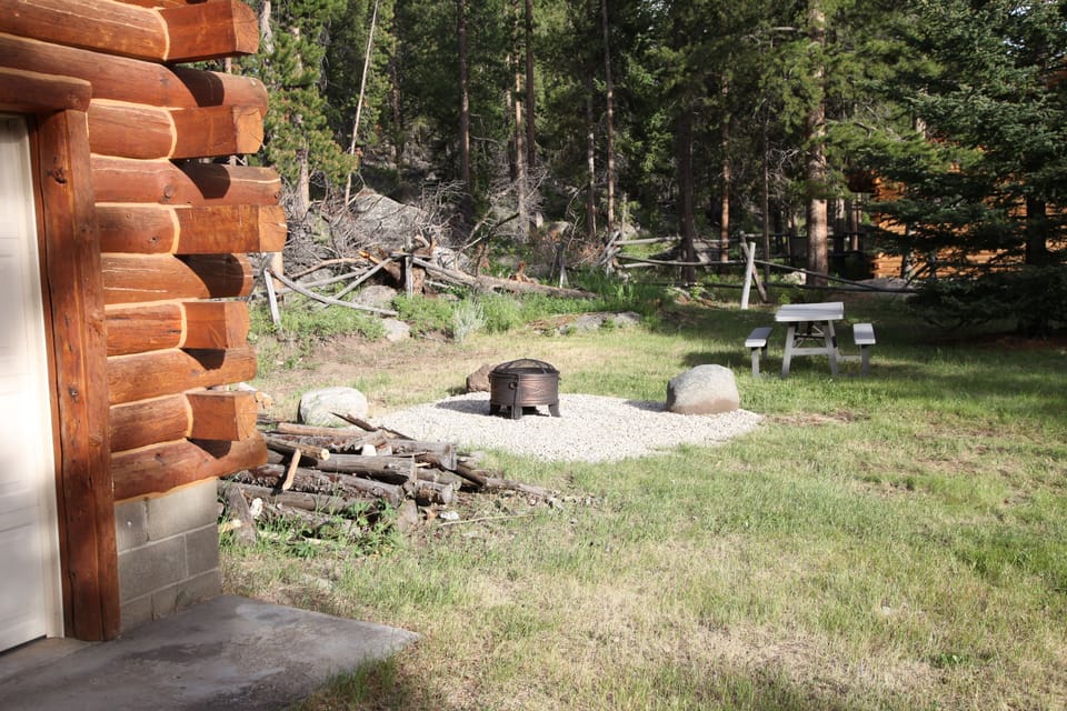 Fire pit with wood provide 