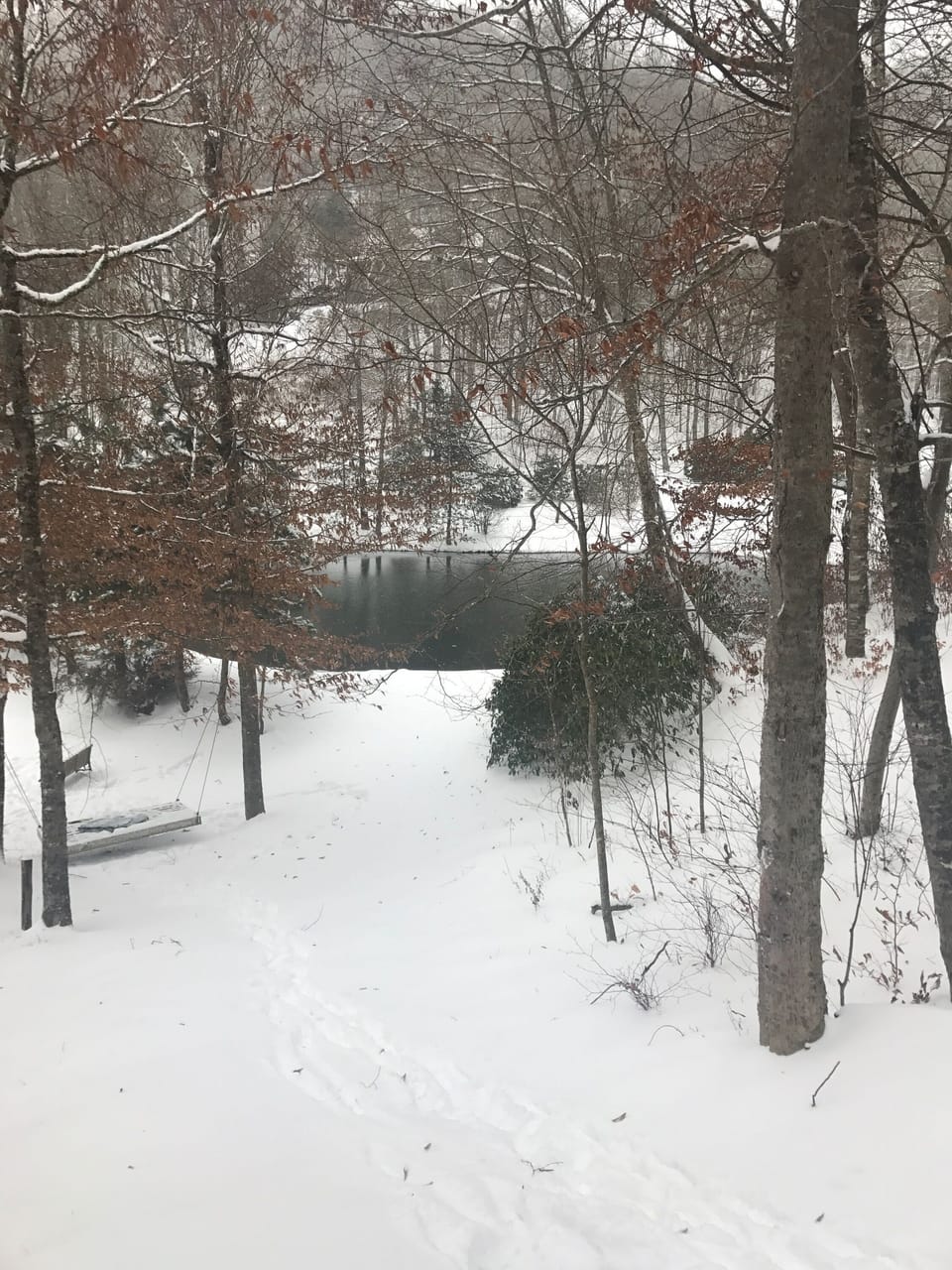 Winter view of our pond #1 of 2