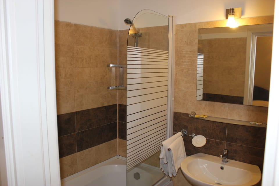 Family Room 4 | Bathroom | Shower, free toiletries, hair dryer, bidet