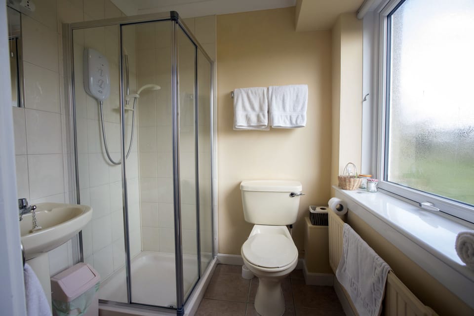 Double Room | Bathroom | Shower, free toiletries, hair dryer, towels