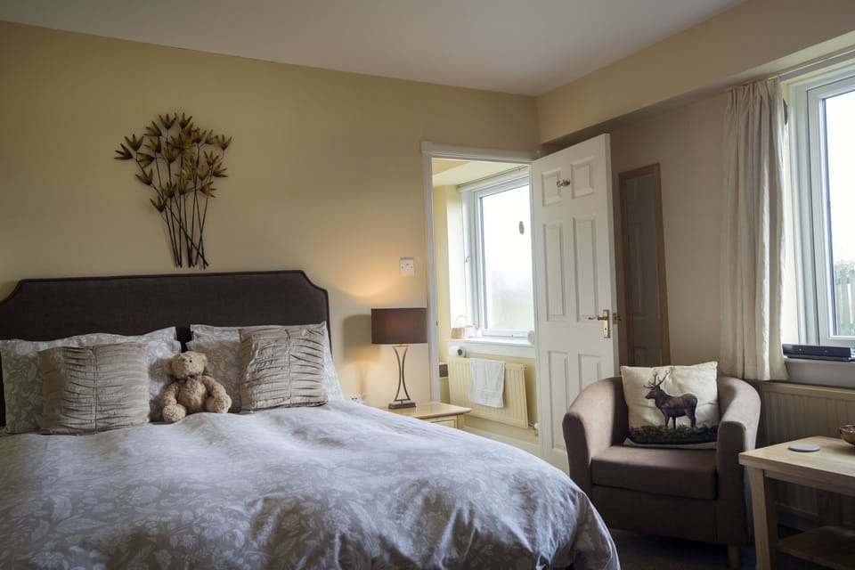 Double Room | Desk, blackout drapes, iron/ironing board, free WiFi