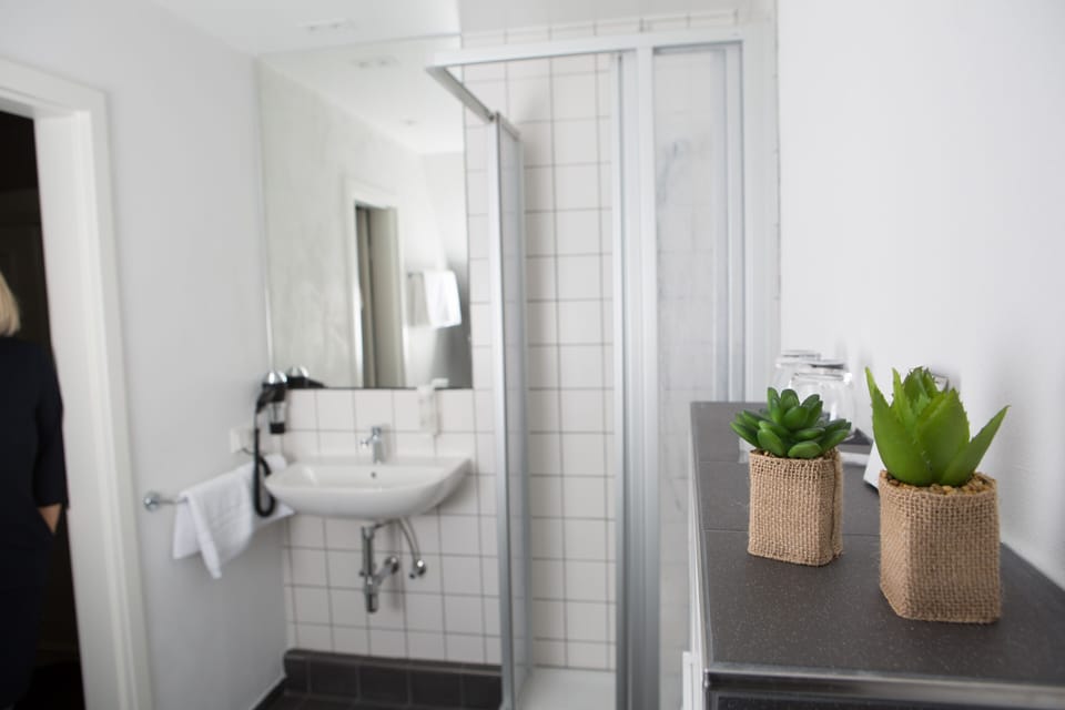 Shower, free toiletries, hair dryer, towels