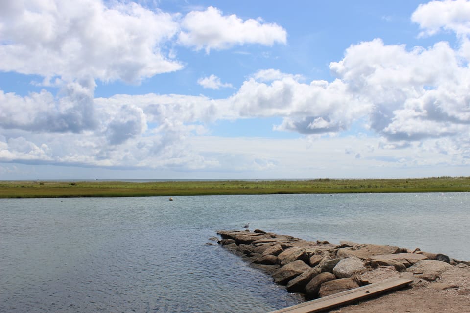 Great crabbing and fishing from the little beach area