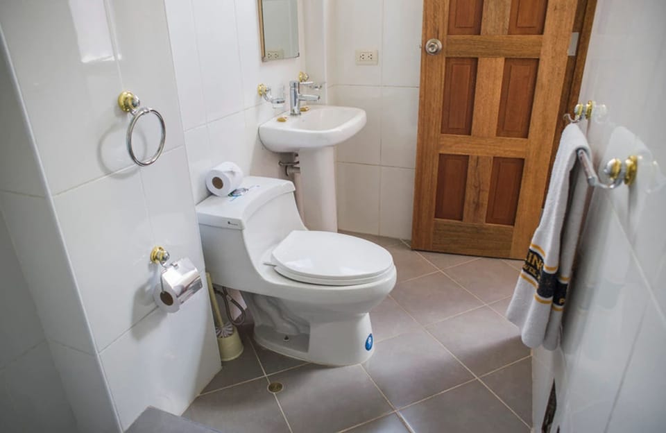 Shower, hair dryer (on request), towels