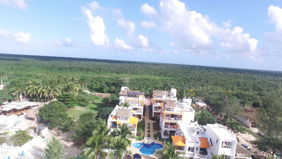 I the middle of the jungle is Paradise
