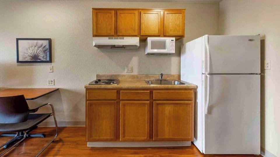 Full-size fridge, microwave, stovetop, freezer