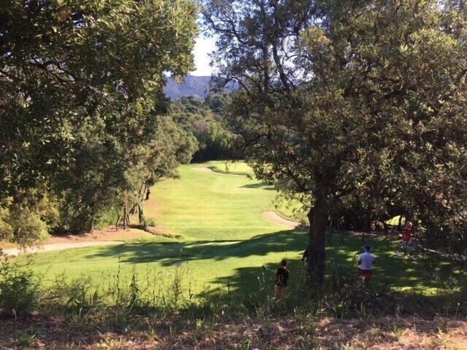 Golf