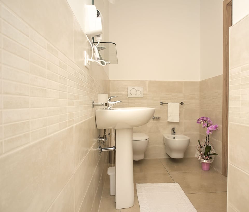 Shower, hair dryer, bidet, towels