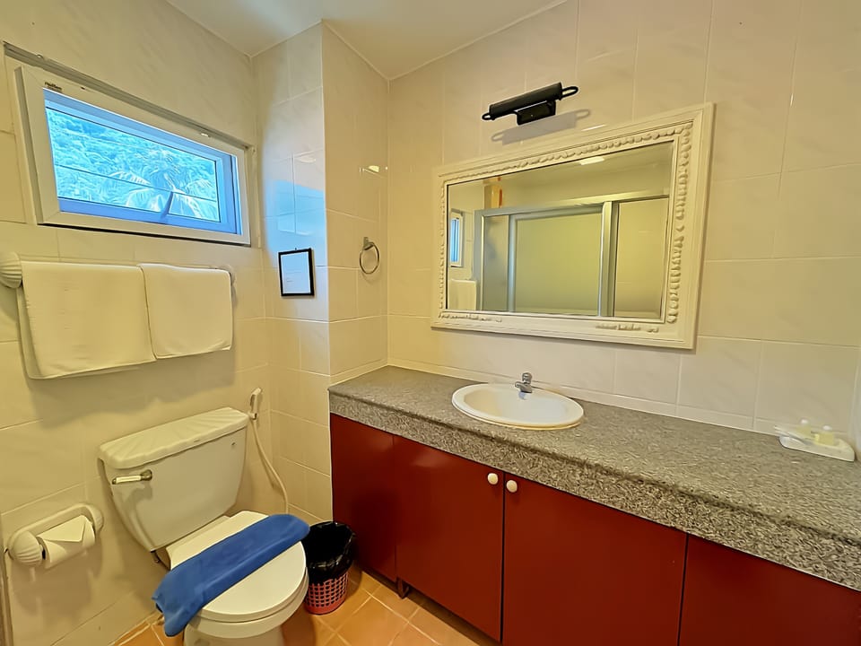 Superior Room, Mountain View | Bathroom | Shower, free toiletries, hair dryer, towels