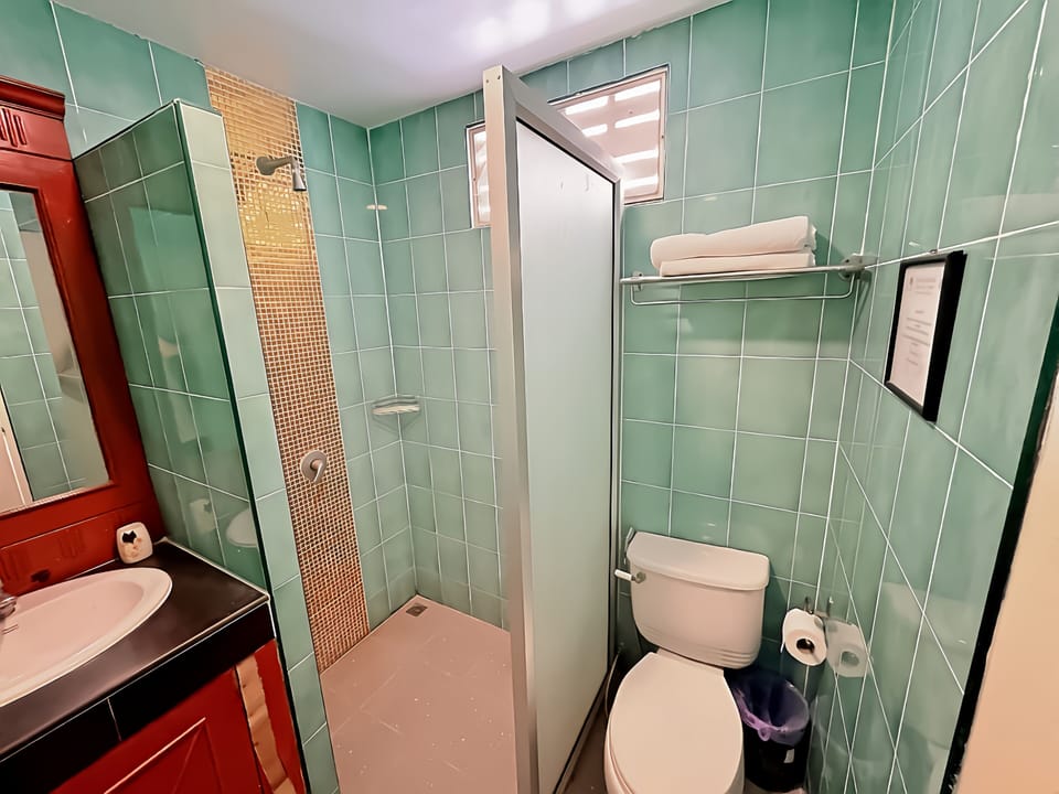 Penthouse | Bathroom | Shower, free toiletries, hair dryer, towels