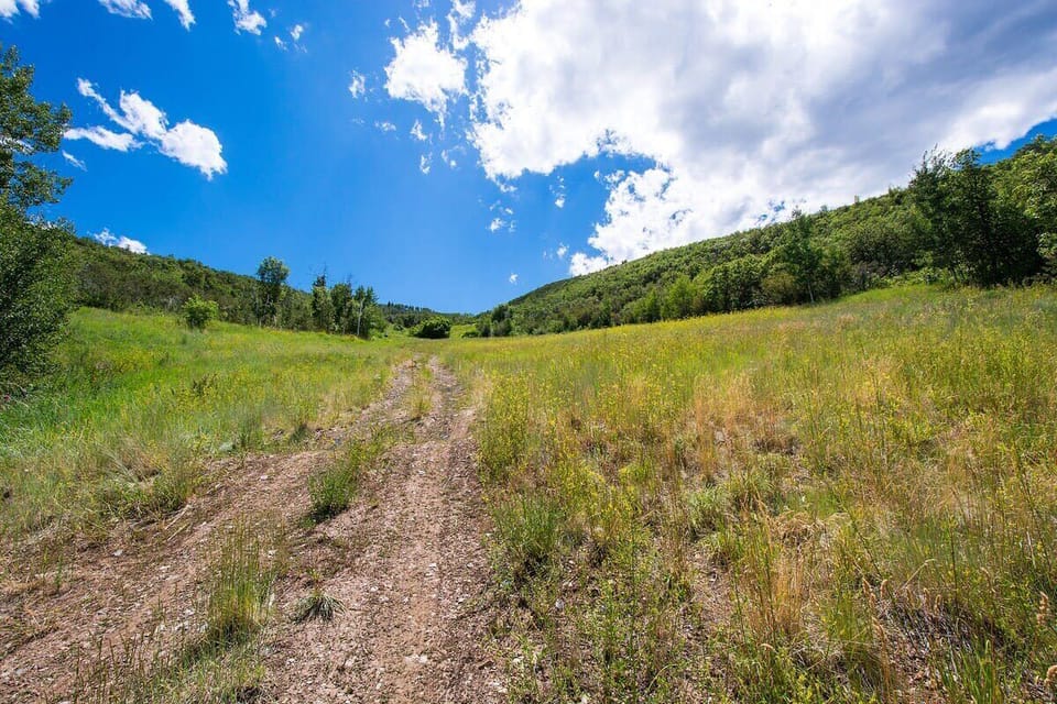Trail up the mountain right outside your back door!