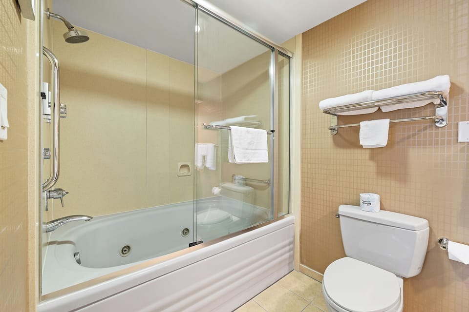 Standard Room, 1 King Bed | In-room safe, desk, iron/ironing board, free WiFi