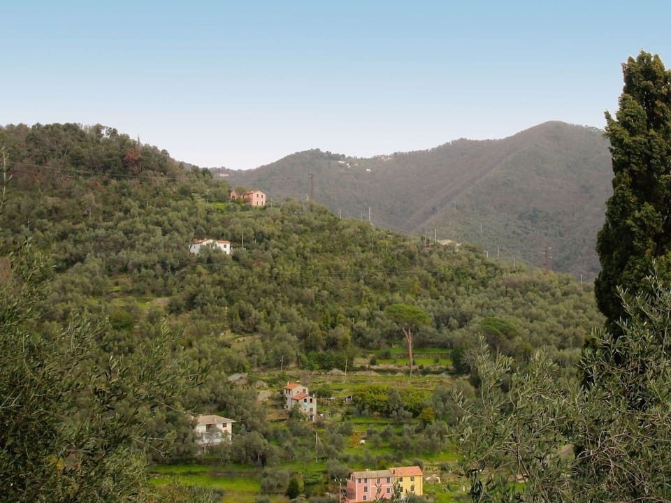 Sky, Mountain, Plant, Plant Community, Natural Landscape, Highland, Land Lot, Tree, Grassland, Mountainous Landforms