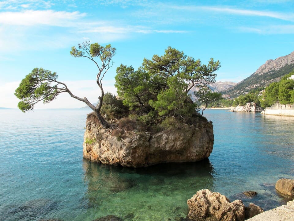 Water, Cloud, Sky, Plant Community, Plant, Natural Landscape, Azure, Tree, Vegetation, Lake