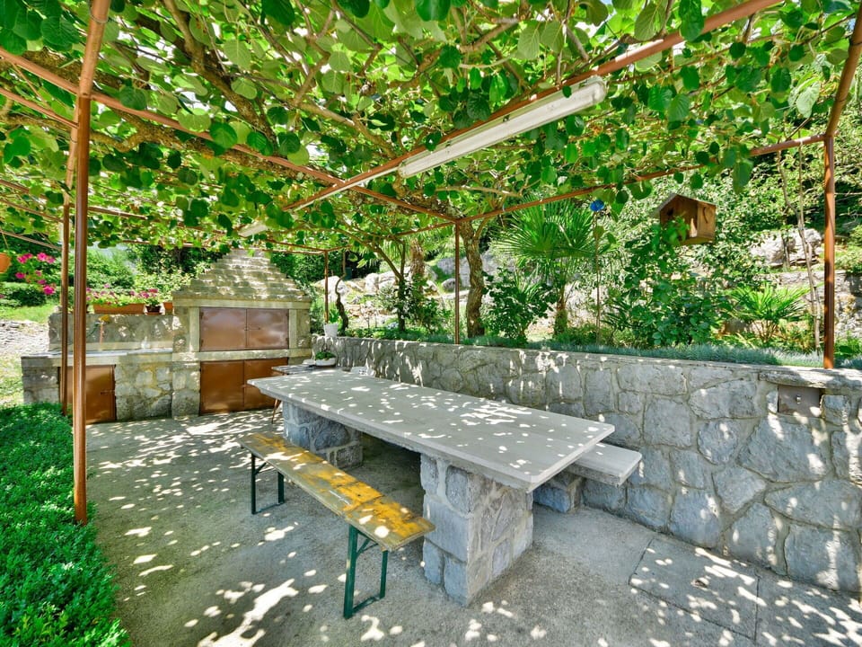 Green, Property, Table, Furniture, Botany, Tree, Garden, Room, Yard, Architecture