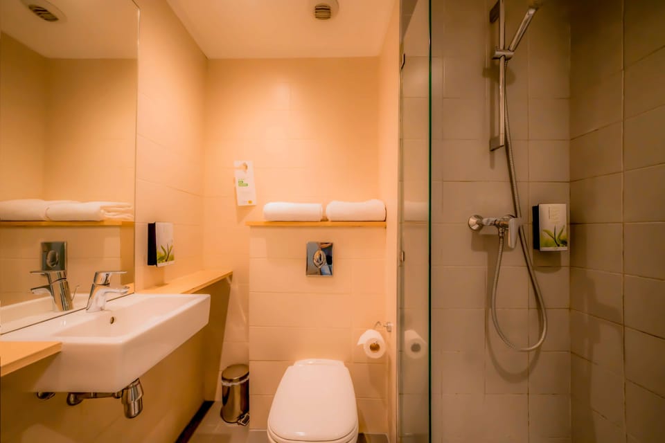 Shower, hydromassage showerhead, eco-friendly toiletries, towels
