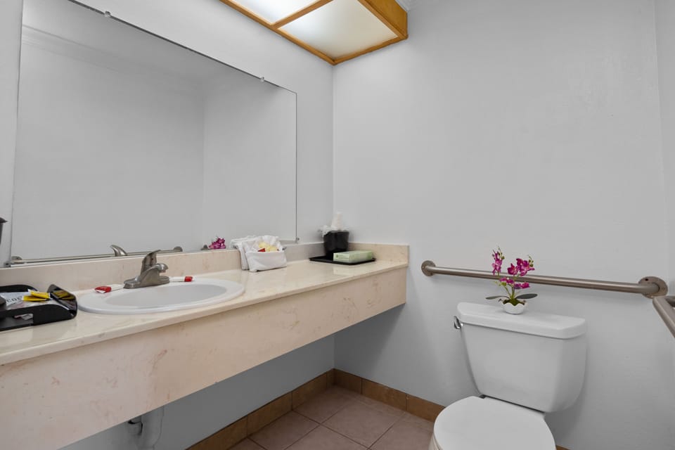 Standard Room, 1 King Bed, Non Smoking | Bathroom | Combined shower/tub, hair dryer, towels