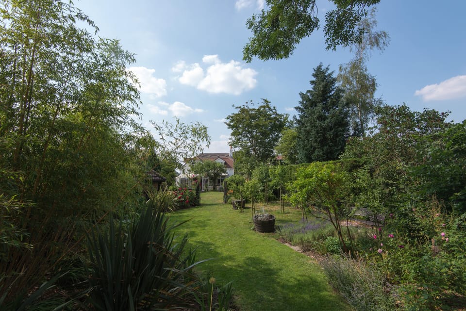 View from back of garden to cottage