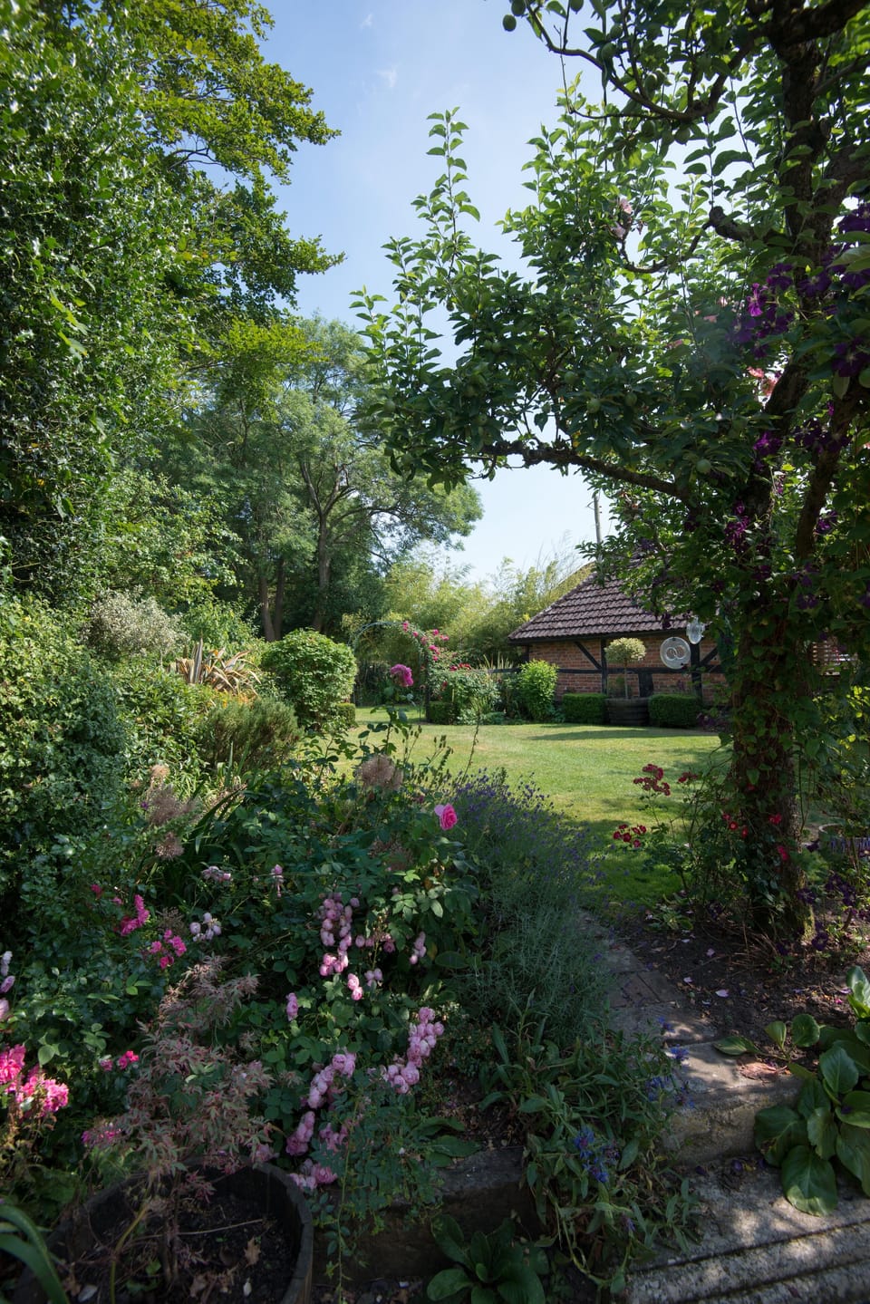 Back garden