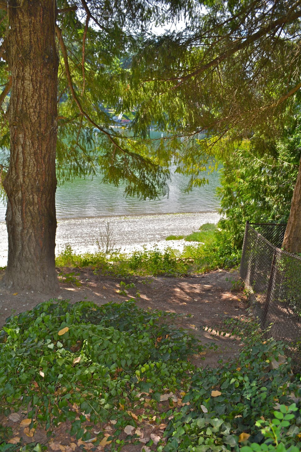 Path to the beach
