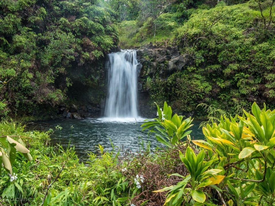 One of the beautiful water falls off the road to Hana!