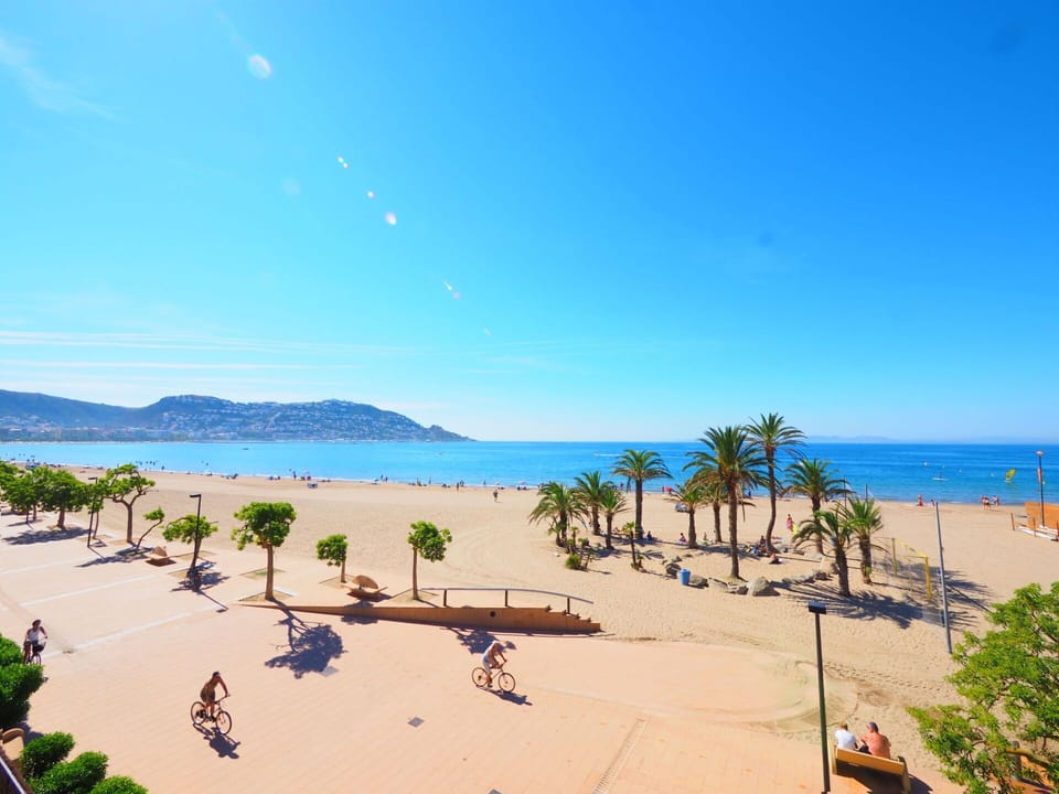 Water, Sky, Plant, Property, Azure, Arecales, Shade, Coastal And Oceanic Landforms