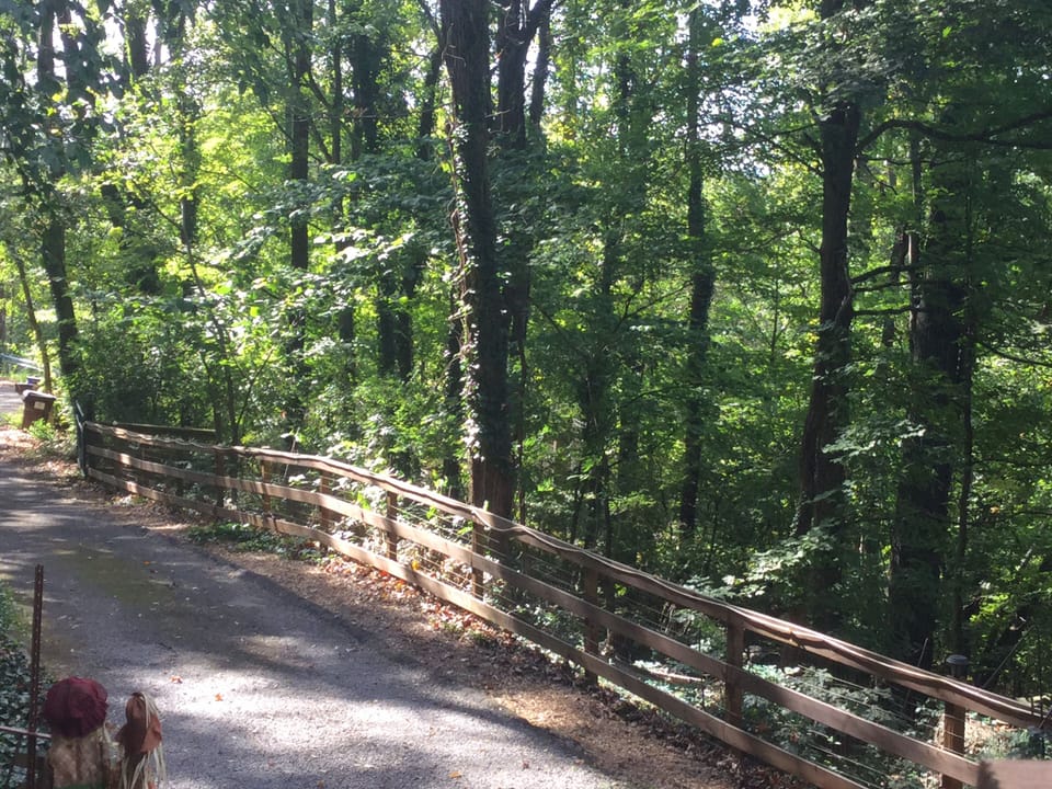 You are nestled in Private wooded acreage surrounds , Driveway is LEVEL 