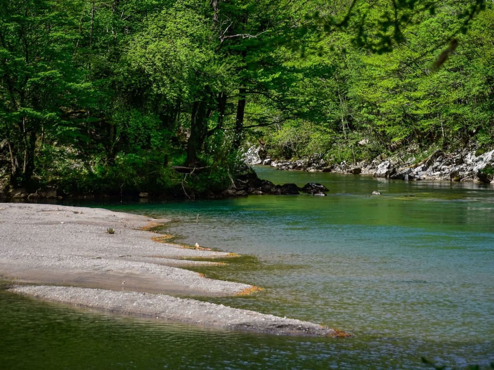 Water, Plant, Tree, Natural Landscape, Lake, Spring, Riparian Zone, Landscape