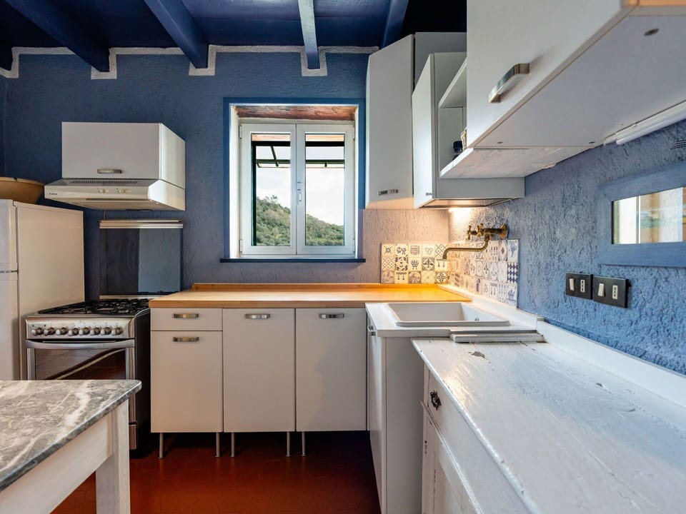 Kitchen, Countertop, Major Appliance, Kitchen Appliance, Cabinetry, Kitchen Sink, Interior Design, Ceiling, Sink, Home