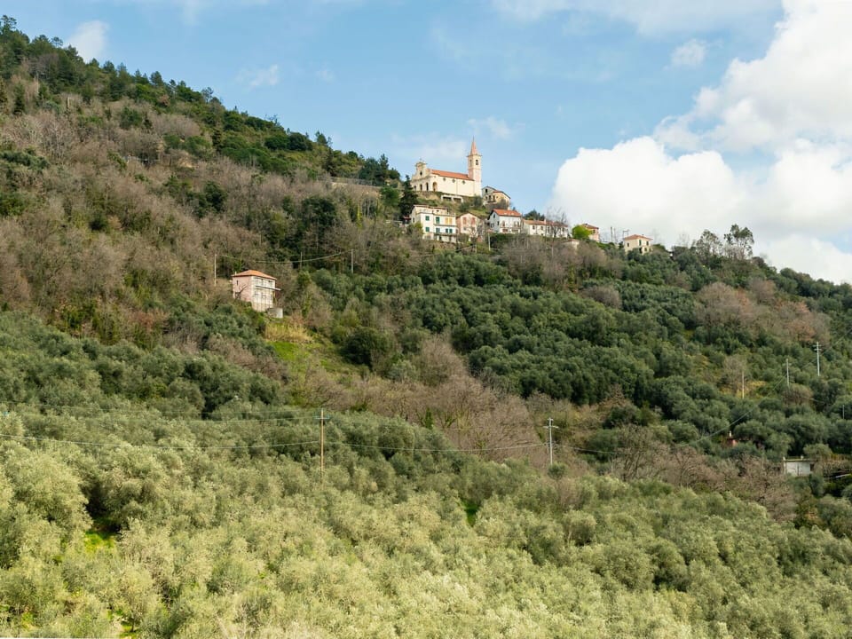 Vegetation, Plant Community, Hill Station, Rural Area, Forest, Chaparral, Jungle, Tourist Attraction, Slope, Shrubland